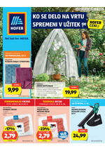 Redni katalog