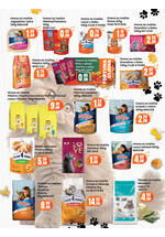 Fortuna market kataloška ponuda