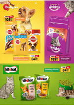 Aman katalog akcija