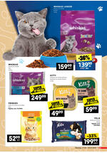 Roda katalog akcija