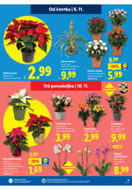 Lidl redni katalog