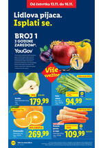 Lidl katalog akcija