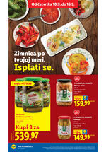 Lidl katalog akcija