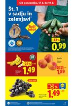 Lidl redni katalog