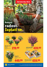 Lidl katalog akcija