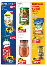 Idea dvonedeljni katalog