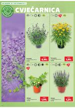 Kaufland online kataloška ponuda