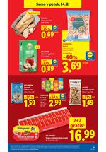 Lidl redni katalog