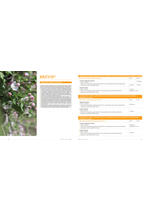 Adama katalog