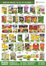 Sinagoga katalog akcija