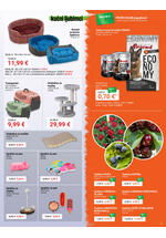 Pevex kataloška akcija