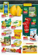 Bingo katalog - Dvonedeljna akcija