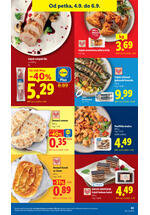 Lidl kataloška akcija