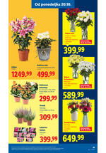 Lidl katalog akcija