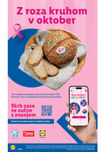 Lidl katalog - Tedenska akcija