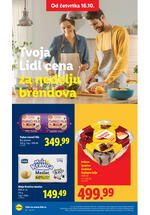 Lidl katalog akcija