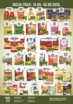 Sinagoga katalog akcija