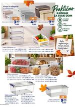 Bingo katalog - Jesenje čišćenje