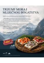 Bingo magazin +