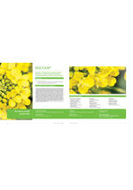 Adama katalog