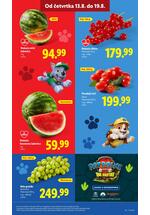 Lidl katalog akcija