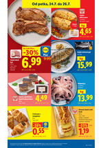 Lidl kataloška akcija