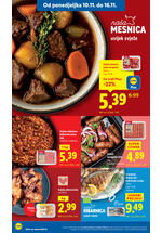 Lidl kataloška akcija