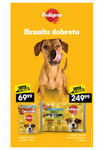 Idea katalog - Naj-naj ponuda za vaše ljubimce