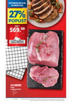 Lidl katalog akcija