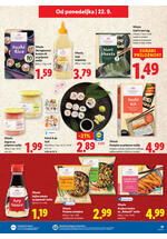 Lidl redni katalog