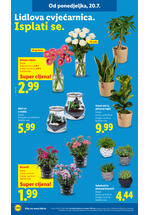 Lidl kataloška akcija