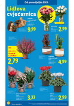 Lidl kataloška akcija
