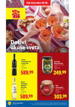 Lidl katalog akcija