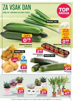 Mercator redni katalog