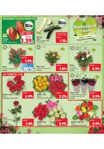 Kaufland kataloška akcija