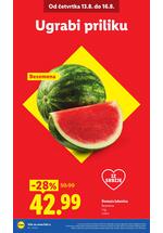 Lidl katalog akcija