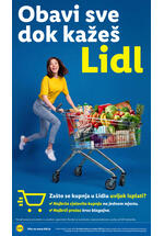 Lidl kataloška akcija