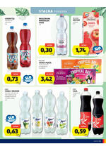 Hofer redni katalog