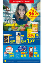 Lidl kataloška akcija