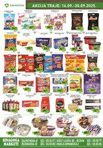 Sinagoga katalog akcija