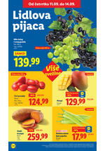 Lidl katalog akcija