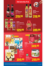 Lidl katalog akcija