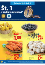 Lidl redni katalog