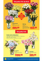 Lidl katalog akcija