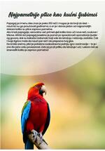Pet centar akcijski katalog