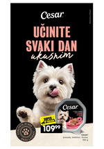 Idea katalog - Naj-naj ponuda za vaše ljubimce