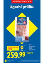 Lidl katalog akcija