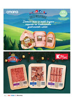 Idea katalog praznični magazin