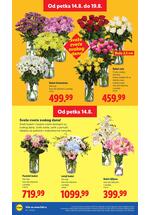 Lidl katalog akcija
