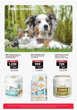 Pet centar akcijski katalog